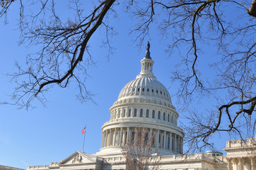 United States Capitol in winter - Washington D.C. United States