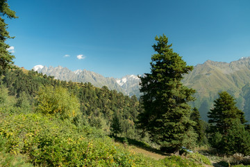 mountains view in Svaneti in Georgia