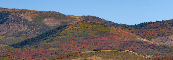 Fall color in mountains