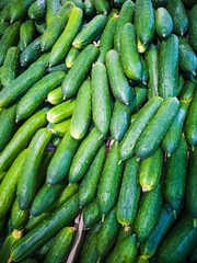 Cucumbers are on the counter of the vegetable market. The concept of fresh harvest, organic vitamin healthy food, vegetarianism. View from above.