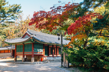 Jongmyo Shrine with autumn maple in Seoul, Korea