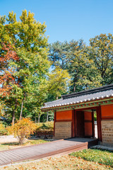 Jongmyo Shrine at autumn in Seoul, Korea