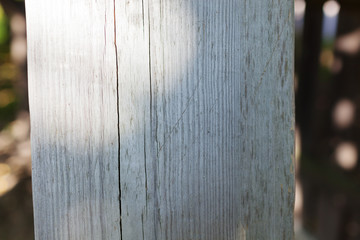 Texture, wood, wall, it can be used as a background. Wooden texture with scratches and cracks