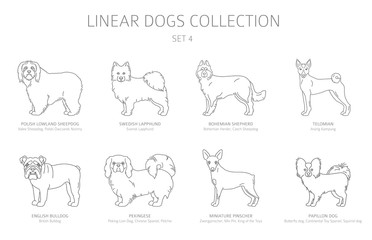 Simple line dogs collection isolated on white. Dog breeds. Flat style clipart set