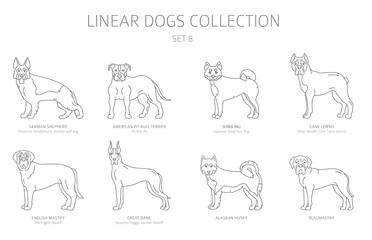 Simple line dogs collection isolated on white. Dog breeds. Flat style clipart set