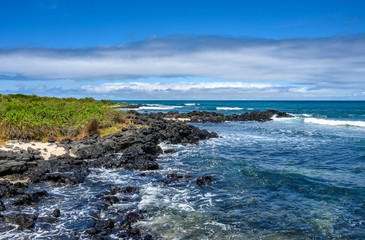 landscape of coastline  at Santa Cruz island, Galapagos.  UNESCO World Heritage Site, Ecuador.