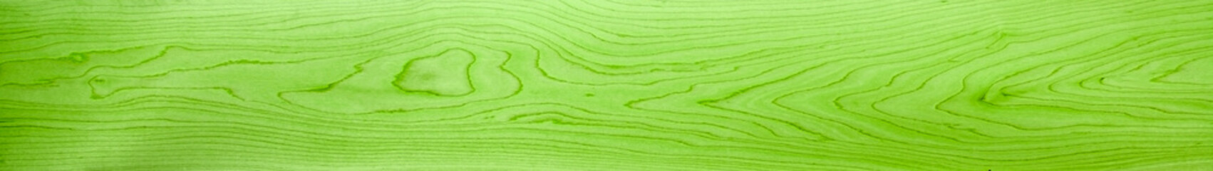 Green wood panorama for banners, design, backdrops and headers - with abstract grain patterns, in a...