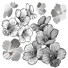 Set with vector botanical illustrations. Design in black and white style. Elements isolated on background. Can be used for printing on paper, stickers, badges, jewelry, postcards, textiles, tattoos.
