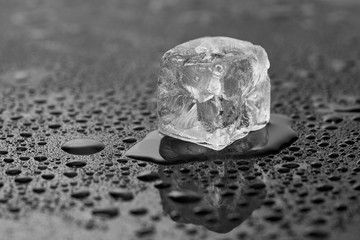 ice cubes on a wet mirror surface