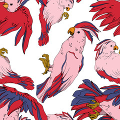 Vector Sky bird cockatoo in a wildlife isolated. Black and white engraved ink art. Seamless background pattern. © LIGHTFIELD STUDIOS