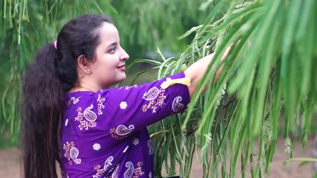 Young indian girl in purple summer dress picking amla or gooseberry from a tree at dusk at a plantation in India asia