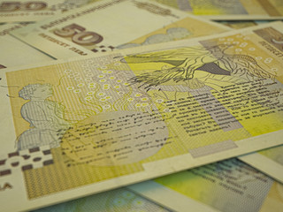 Money of Bulgaria. Bulgarian banknotes background