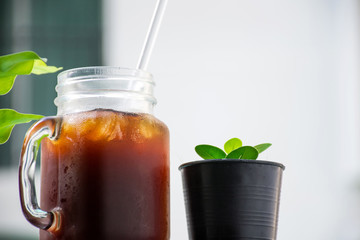 Iced coffee near small tree with blurred background.
