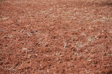 Dry red soil in agriculture farm background.