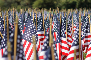 A sea of red, white and blue