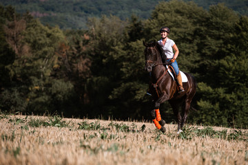 Reiterin galoppiert auf dem Feld mit ihrem Pferd