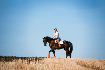 Reiterin reitet ihr Pferd auf einem Stoppelfeld im Gelände