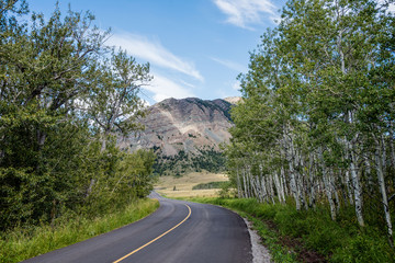 Road through Grove 