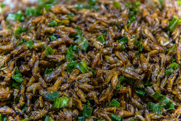 Fried insects on the streets of Chiangmai Road in Thailand