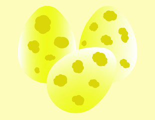 Picture eggs yellow color and bright