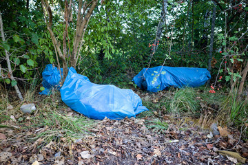 illegally disposed blue bin bags in landscape