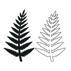 fern silhouette with outline. Black isolated prints of fern leaves on the white background.  Vector Illustration