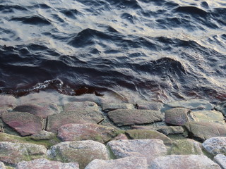 stones in water