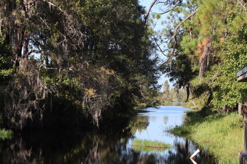 Fototapeta na wymiar Okefenokee canal