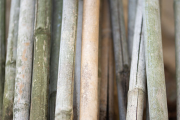 Wood