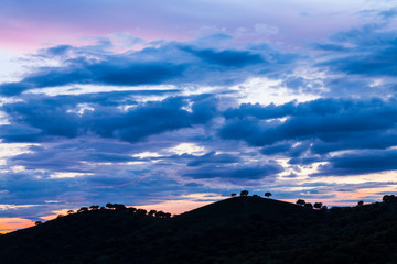 Monfrague National Park, Caceres, Extremadura, Spain, Europe