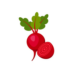 beet isolated on white background. Vector illustration.