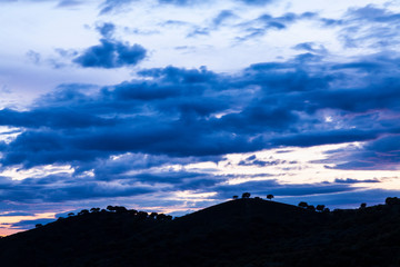Monfrague National Park, Caceres, Extremadura, Spain, Europe