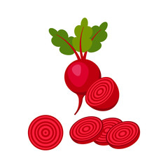 beet isolated on white background. Vector illustration.