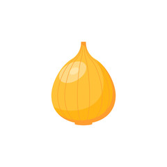 Onion icon isolated on white background. Vector illustration.