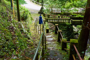 Fototapeta premium 写真素材：仙龍寺、四国、愛媛県、風景、こけ、女性