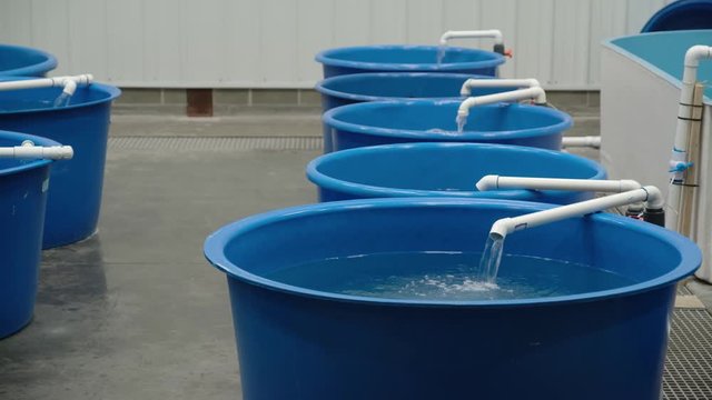State of the art sea turtle rehabilitation facility in Surf City, NC near Topsail Beach