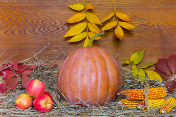 Naklejka na ściany i meble autumn harvest, still life with ripen pumpkin, apple, corn, dry grass and autumn leaves