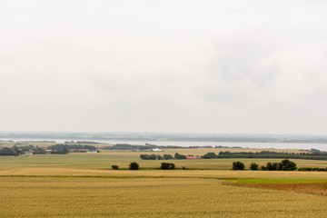 Fototapeta na wymiar Danish agriculture landscape view with fields and crops from the small island Fur located in Limfjorden in Northern Jutland, Denmark