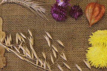 flowers on wooden background