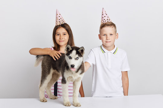 best present on birthday, close up portrait, best friend, friendship. close up portrait, solated white background