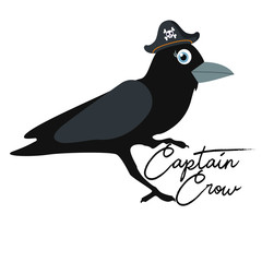 Cute crow, bird, vector illustration