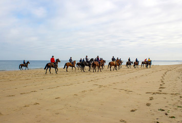 riders on horses on the beach in Renesse, the Netherlands