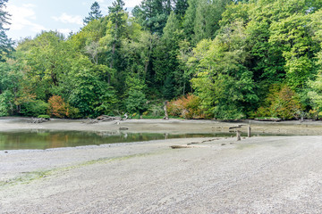 Priest Point Park Shoreline 4
