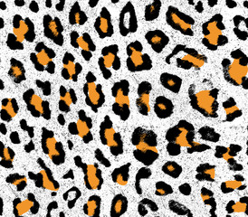 Leopard skin print pattern colored grunge background