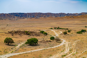 road in semi-desert in vashlovani national park