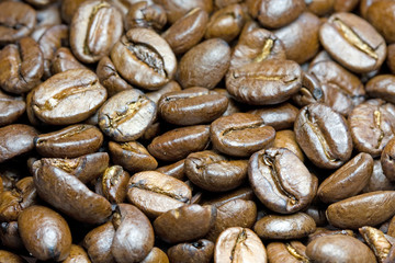 coffee beans