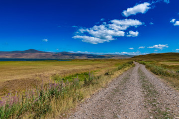 landscape with mountain and flowers