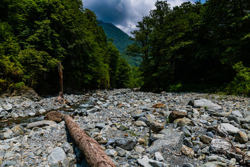river bed in the national park Lagodechi