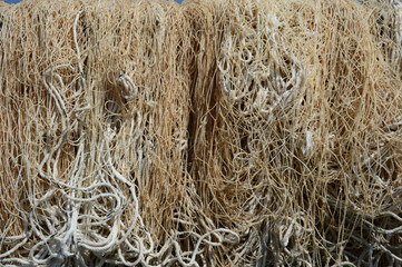 日本の漁師の魚捕り網