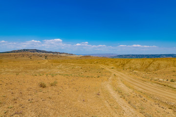 semi-desert in the national park vashlovani